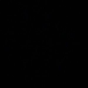 Meet your Posher, Jim